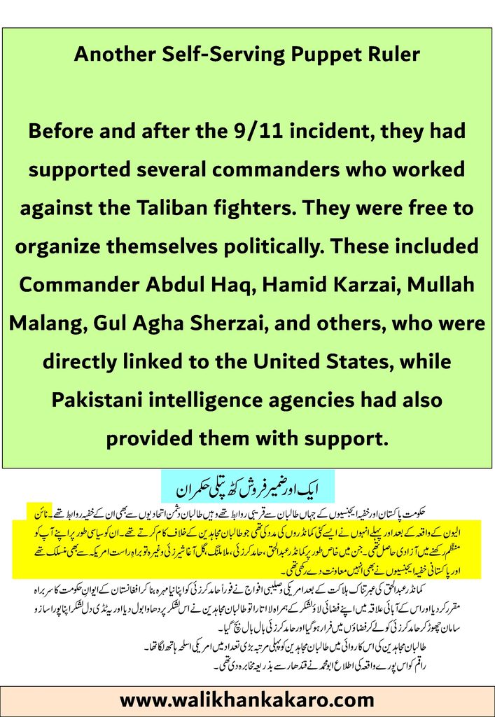 Fatih Taliban 37