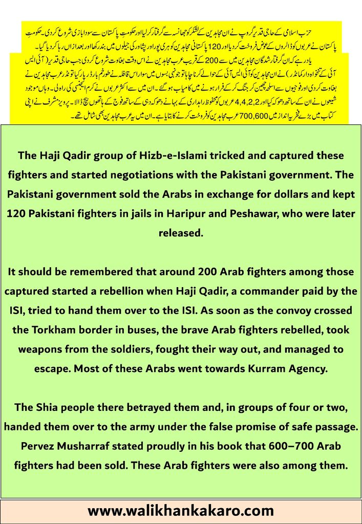 Fatih Taliban 38