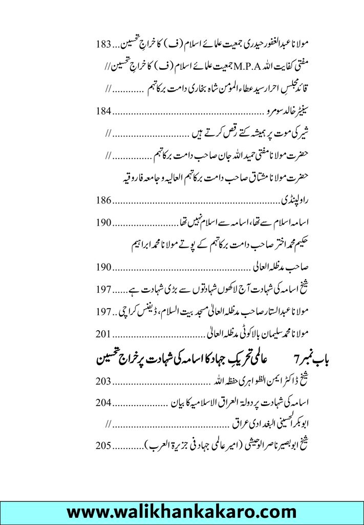 Shaheed Osama Sahara se Samandar Tak 6